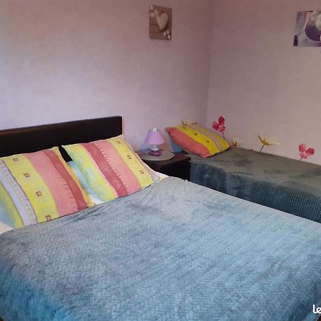 أمبُواز Chambres D'Hotes Les Nefliers المظهر الخارجي الصورة