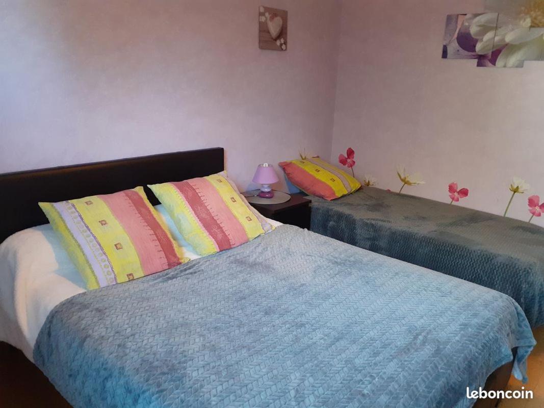 أمبُواز Chambres D'Hotes Les Nefliers المظهر الخارجي الصورة