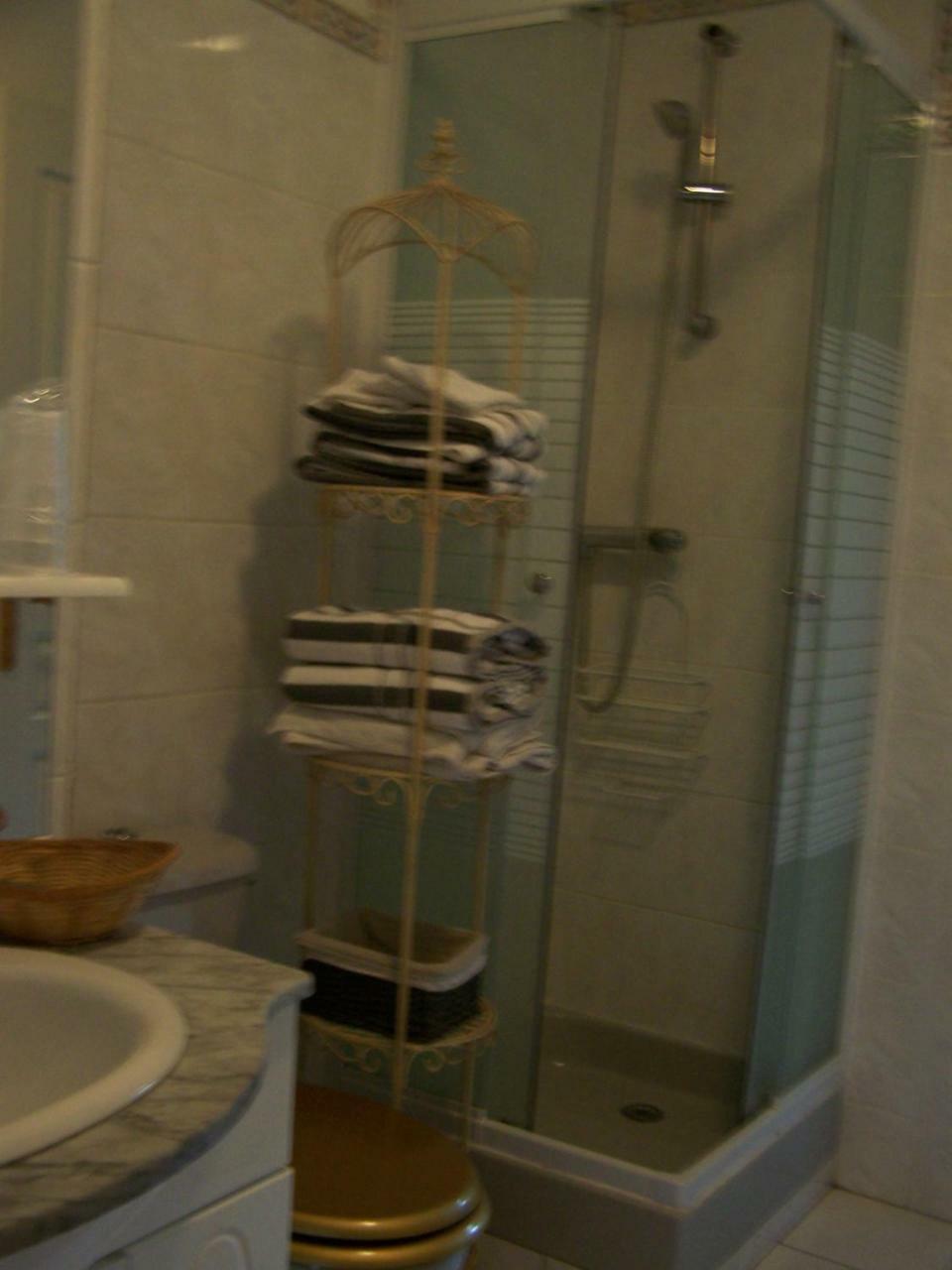 أمبُواز Chambres D'Hotes Les Nefliers المظهر الخارجي الصورة